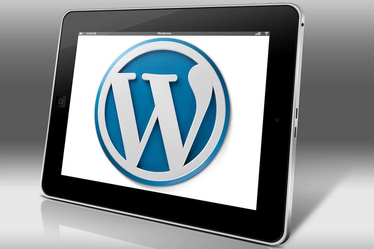 Why Robust Content is the Backbone of Your Site