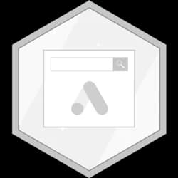 Google Ads Search